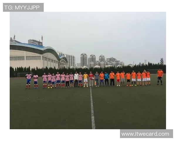 成都排球队在联合会杯中的默契配合与战术执行分析