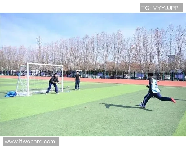 大理足球热潮来袭球场上的青春与梦想交织成美丽画卷